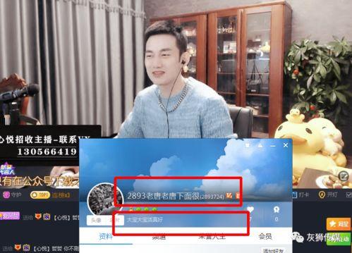 阿豪爆料老李视频大全集,老李视频大全集深度解析