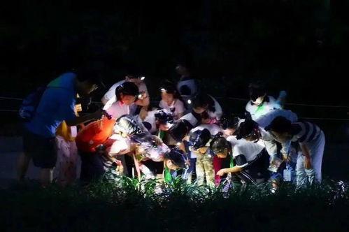 夜森林在线观看 第2张 夜森林在线观看 第2张