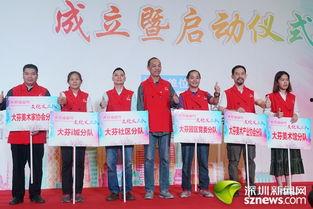 深圳小芬最新爆料,揭秘娱乐圈惊人内幕